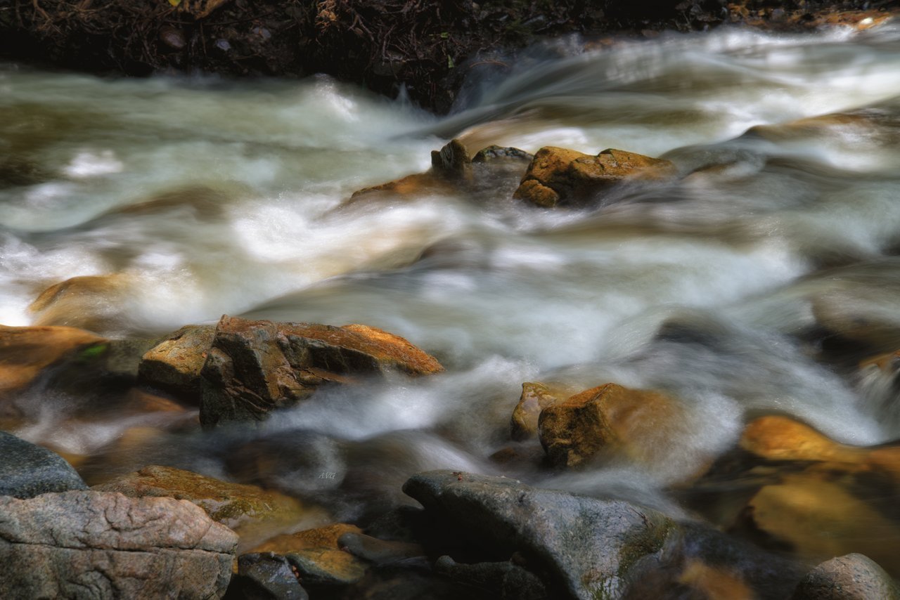 Serene image of a stream flowing over rocks in a forest setting. Ideal for nature themes.
